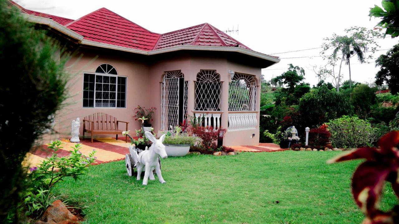 Cliffe Ranch Villa Mandeville Bagian luar foto