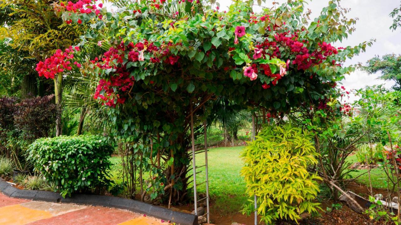 Cliffe Ranch Villa Mandeville Bagian luar foto